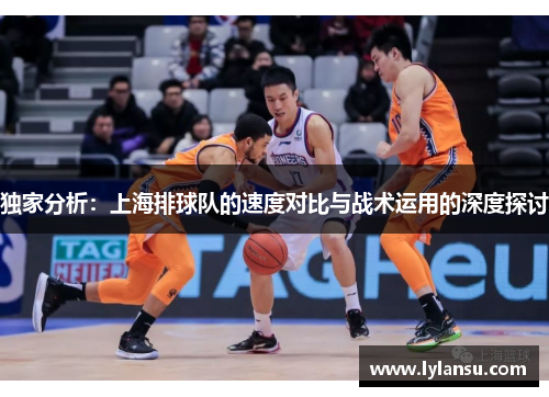 独家分析：上海排球队的速度对比与战术运用的深度探讨