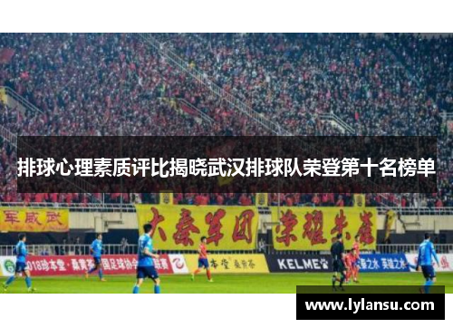 排球心理素质评比揭晓武汉排球队荣登第十名榜单