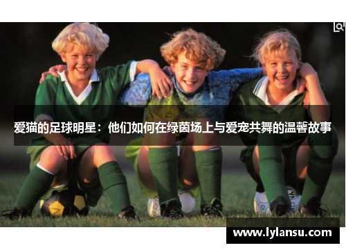 爱猫的足球明星：他们如何在绿茵场上与爱宠共舞的温馨故事